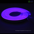 Mini 10*24mm Purple LED Neon for Signs/Light Box/Building Decoration